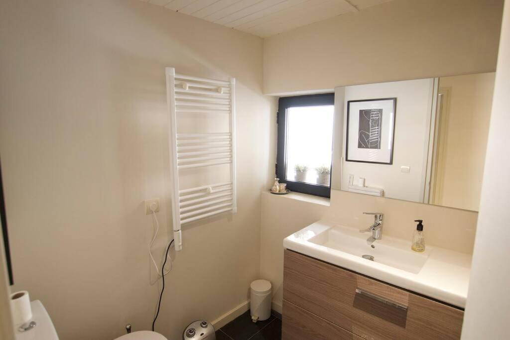 Apartament Central Amb Terrassa 阿尔普 外观 照片